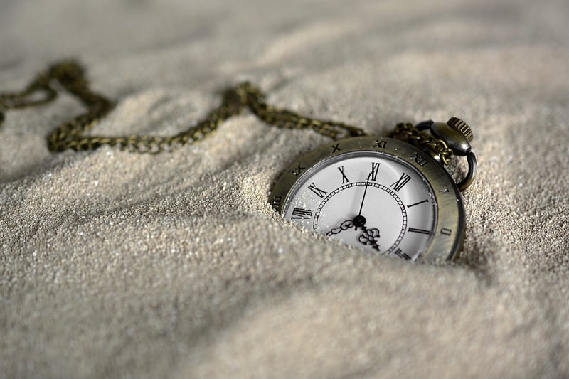 Time Machine Excursion